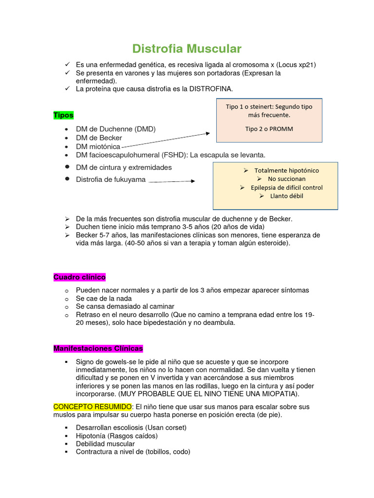 Distrofia Muscular | PDF | Medicina CLINICA | Enfermedades y trastornos