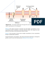 Membrane Transport