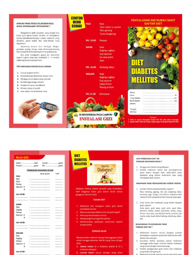 Diet DM Ed | PDF