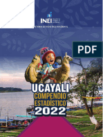 Compendio Estadístico, Ucayali 2022