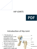 Hip Joints-1