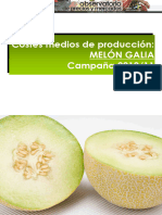 Ficha Costes Melon 10 11 DEF