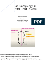 Cardiac Embryology