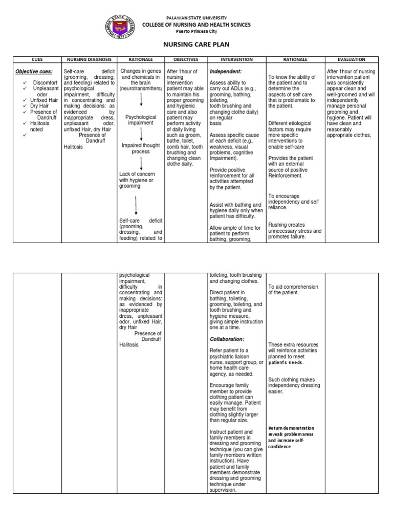 Self Cre Deficit PDF Hygiene Halitosis