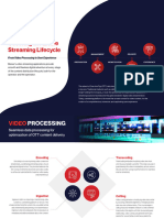 Video Streaming Lifecycle White Paper