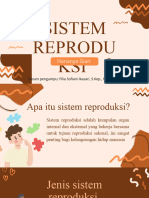 Sistem Reproduksi Manusia