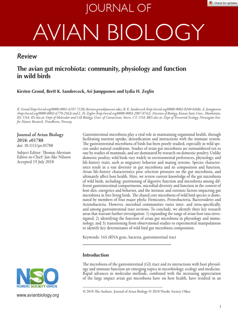 Digestive Exit For Birds: The Hidden Key to Avian Gut Health
