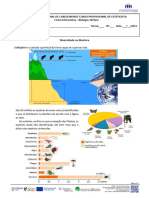 Ficha de Trabalho