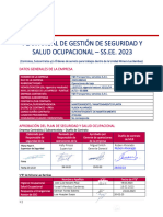 F&R Caratula Pgsso - 2023 Aprobada