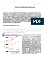 Uem Adaptaciones Maternas Al Embarazo