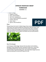 Identifikasi Makhluk Hidup Kel 1 X5