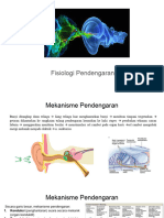 Fisiologi Pendengaran