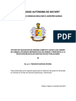 Universidad Autónoma de Nayarit: Posgrado en Ciencias Biológico Agropecuarias