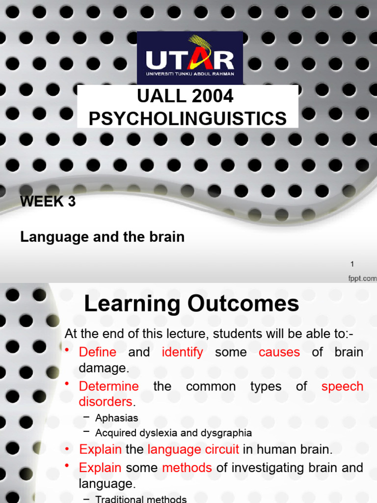 Topic 2b - Language and The Brain | PDF | Aphasia | Speech