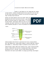 A. Spesialisasi-WPS Office