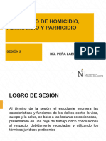 Sesión 2 - Delito Homicidio, Parricidio y Feminicidio