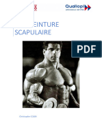 APM 08 - 13 La Ceinture Scapulaire