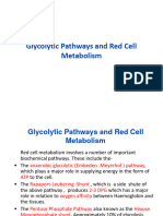 Glycolytic Pathways and Red Cell Metabolism
