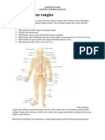 ANATOMISISTEMRANGKA