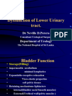 Bladdeer Dysfunction