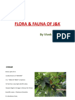 Flora & Fauna of J&K