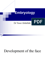 المحاضرة الرابعه Development of the Face مترجمة