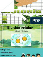 División Celular DDDD