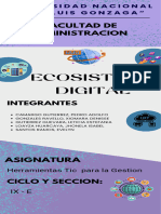 Infografia de Ecosistema Digital