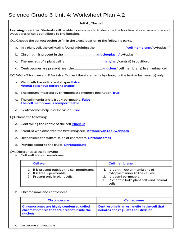 Answer Key Unit 4 2 Worksheet Plan The Cell PDF Biochemistry