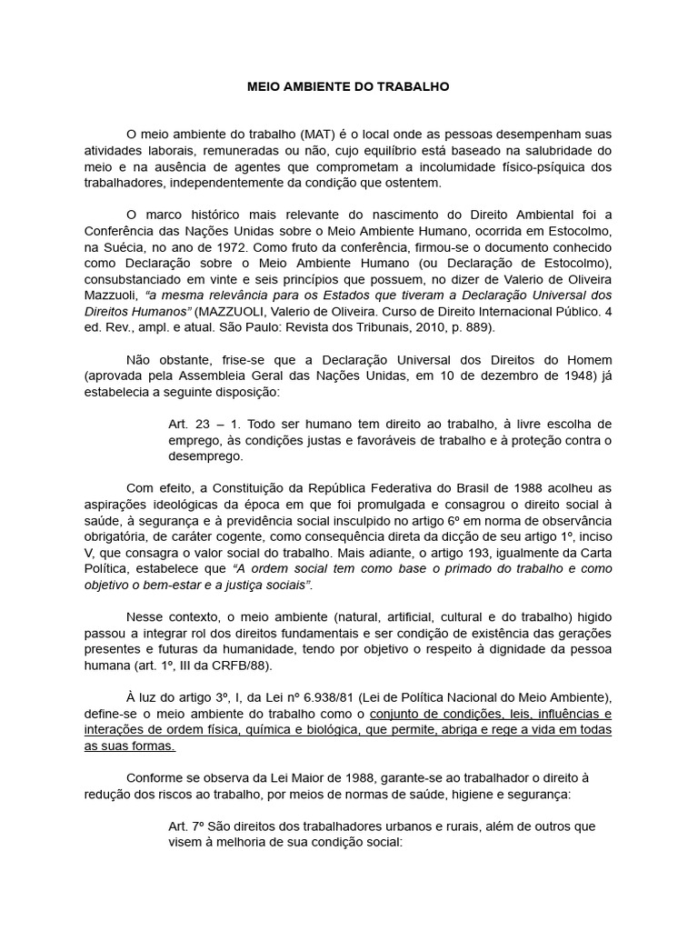 Meio Ambiente do Trabalho e Direitos Humanos | PDF | Direitos Humanos ...