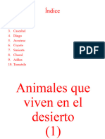 Animales Del Desierto 1