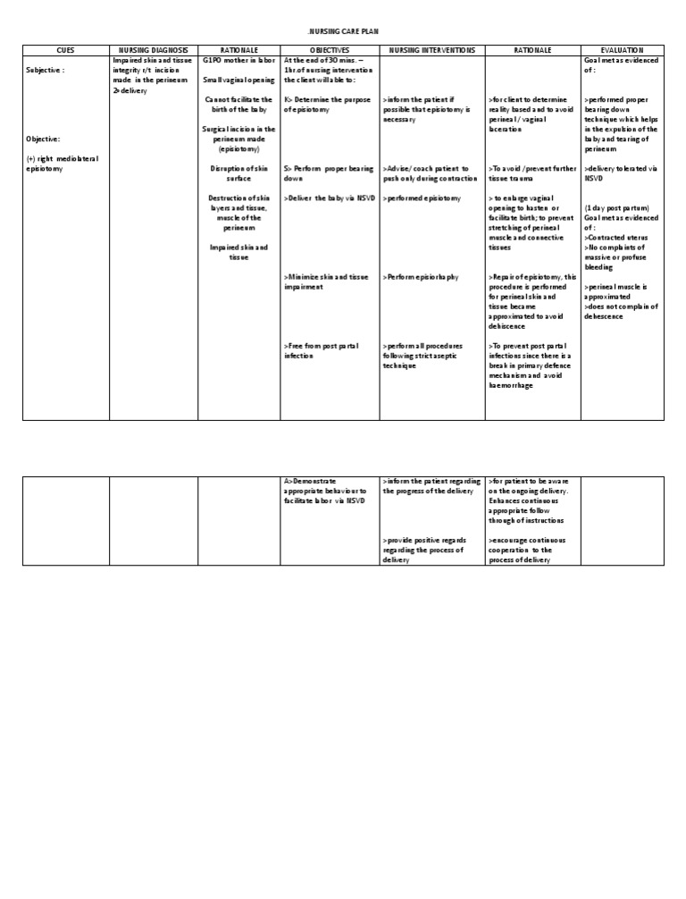 Nursing Care Plan Delivery Room
