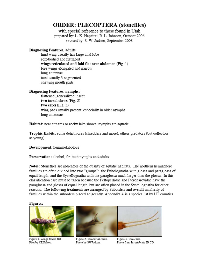 Utah Stoneflies: Order Plecoptera | PDF | Aquatic Animals | Insect Orders
