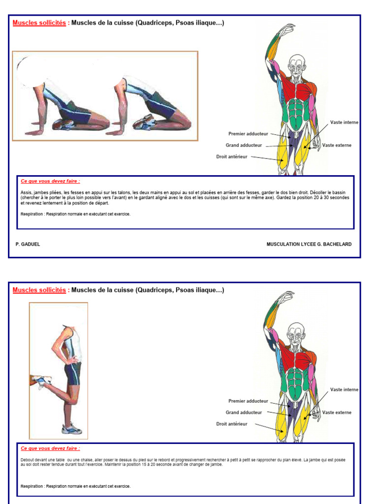 Étirements et exercices musculaires | PDF | Main | Musculation