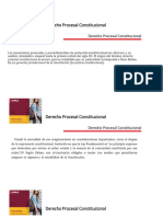 Derecho Procesal Constitucional Parte 2