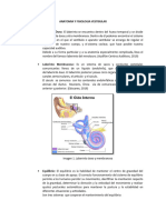 Taller de Anatomia y Fisiologia Vestibular