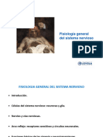 Tema 18. Fisiologia General SN. Sinapsis y NT. Receptores Sensitivos