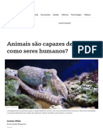 Animais São Capazes de Sonhar Como Seres Humanos - BBC News Brasil