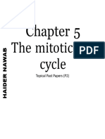 Mitotic Cell Cycle p2