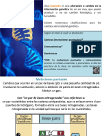 Bases Moleculares de La Mutagénesis. Tipos de Mutación - Nivel Al Que Se Producen