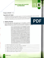 Leccion 13 Estructura de Plantas Superiores