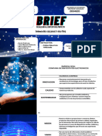 Brief Final PDF