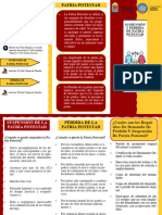 Trifolio Suspensión y Perdida Patria Potestad