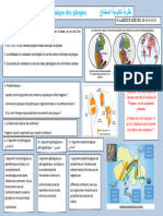 Tectonique Du Plaques