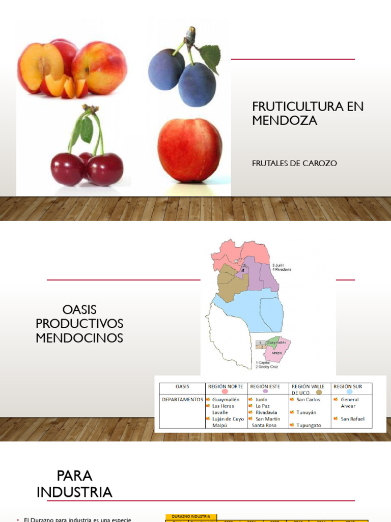 Fruticultura de Carozo en Mendoza | PDF