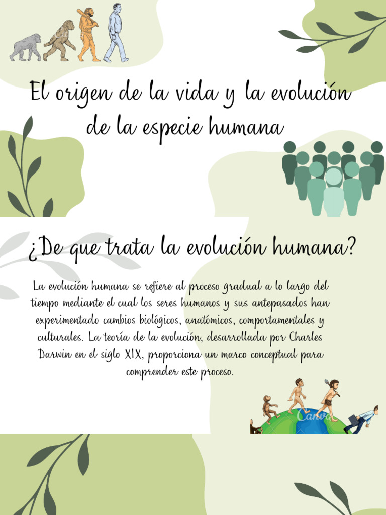 Origen y evolución de la especie humana | PDF | Evolución | Humano