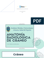 Anatomia Radiologica 392198 Downloadable 5106533