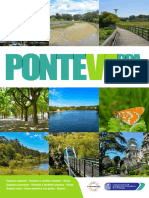 Pontevedra Verde