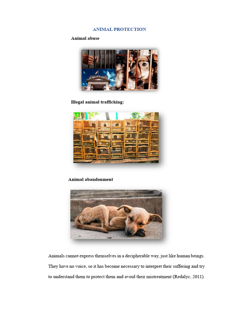 Understanding Animal Abuse Issues | PDF | Cruelty To Animals | Animal ...