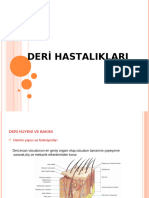 Deri PPT